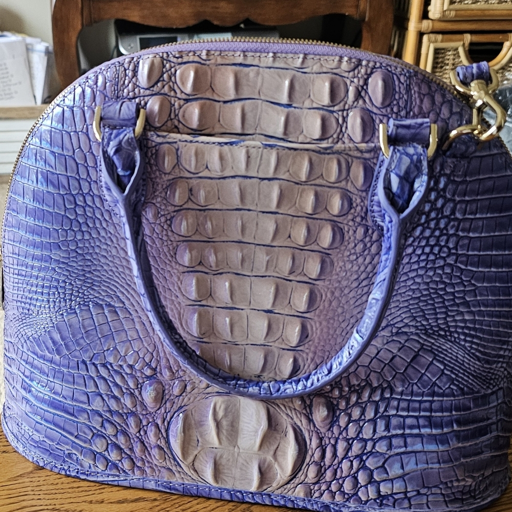 Brahmin Handbad with wallet